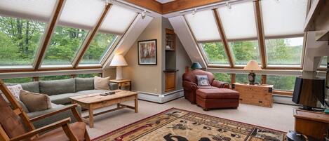 تلفزيون، مدفأة، مشغل دي في دي، مكتبة موسيقى