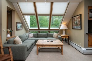 TV, fireplace, DVD player, music library