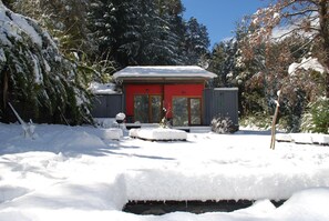 Escape to a serene forest retreat, surrounded by towering trees and a cozy cabin with a spacious entrance.