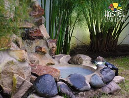 Un jardín con un pequeño estanque rodeado de rocas y plantas de bambú.