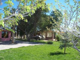 Una propiedad residencial con un gran árbol, un pequeño edificio rosa y un barco amarrado cerca de una casa.