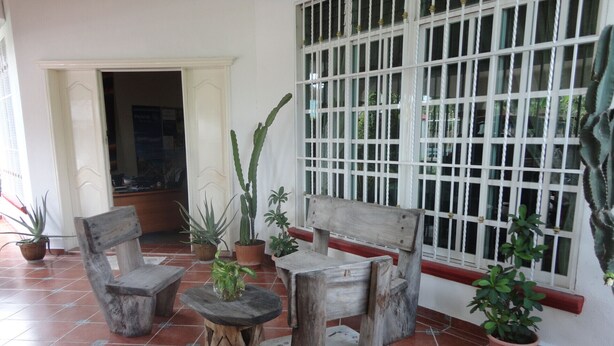 A patio area with rustic wooden furniture, potted plants, and a large window with white bars. - Paakal's Hostel (Chetumal)