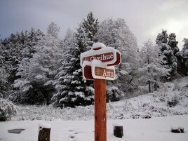 Un cartel de madera con los nombres 'Oveihue' y 'Antu' escritos, rodeado de árboles cubiertos de nieve.