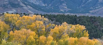 Charlie & Rosie’s Place