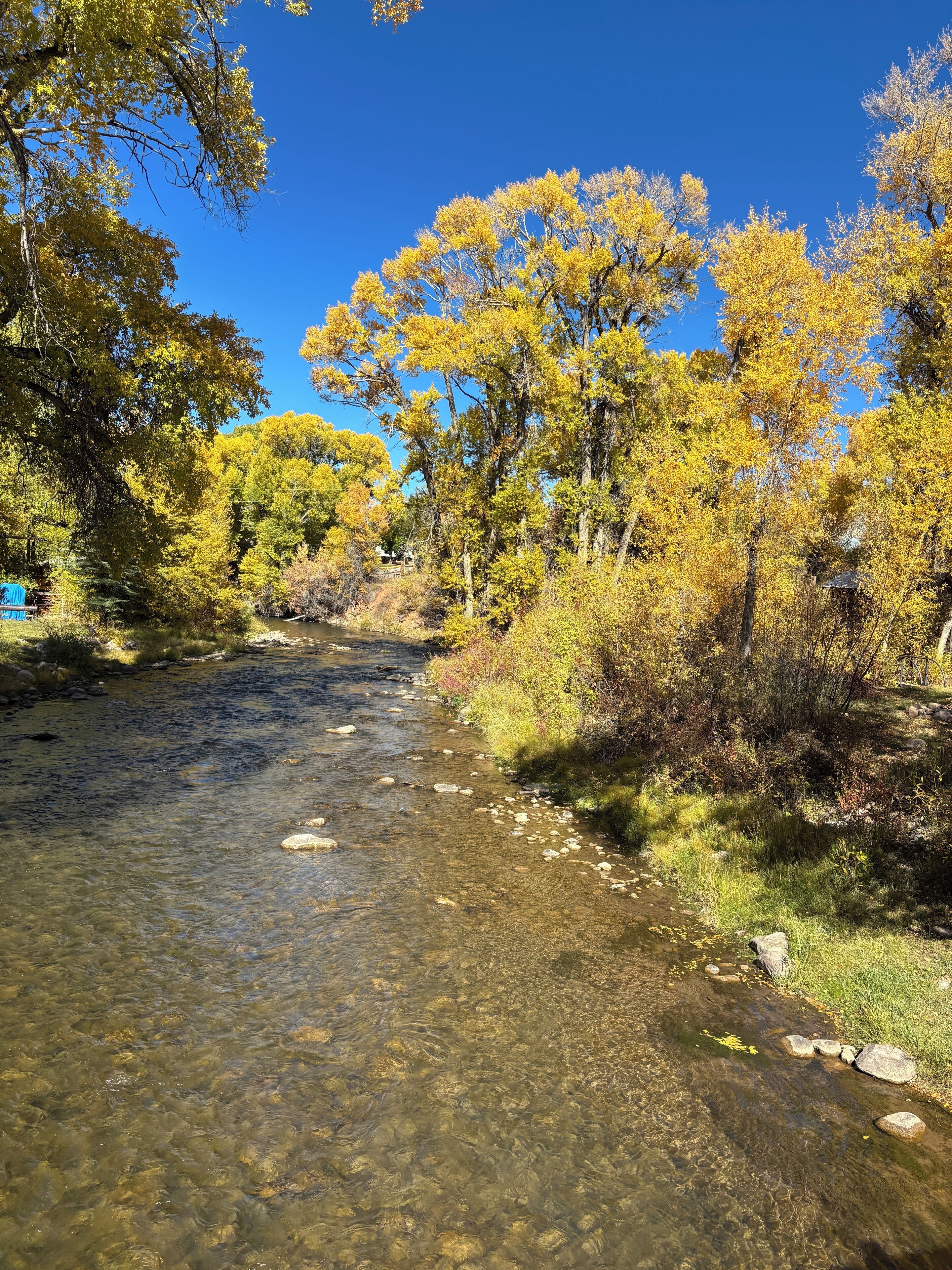 Un ruisseau limpide aux eaux claires, bordé de rochers et entouré d’arbres aux feuilles jaunes, sous un ciel bleu.