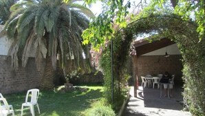 A covered patio area with a brick wall, a palm tree, and a table with chairs. - Paraná Hostel (Parana)