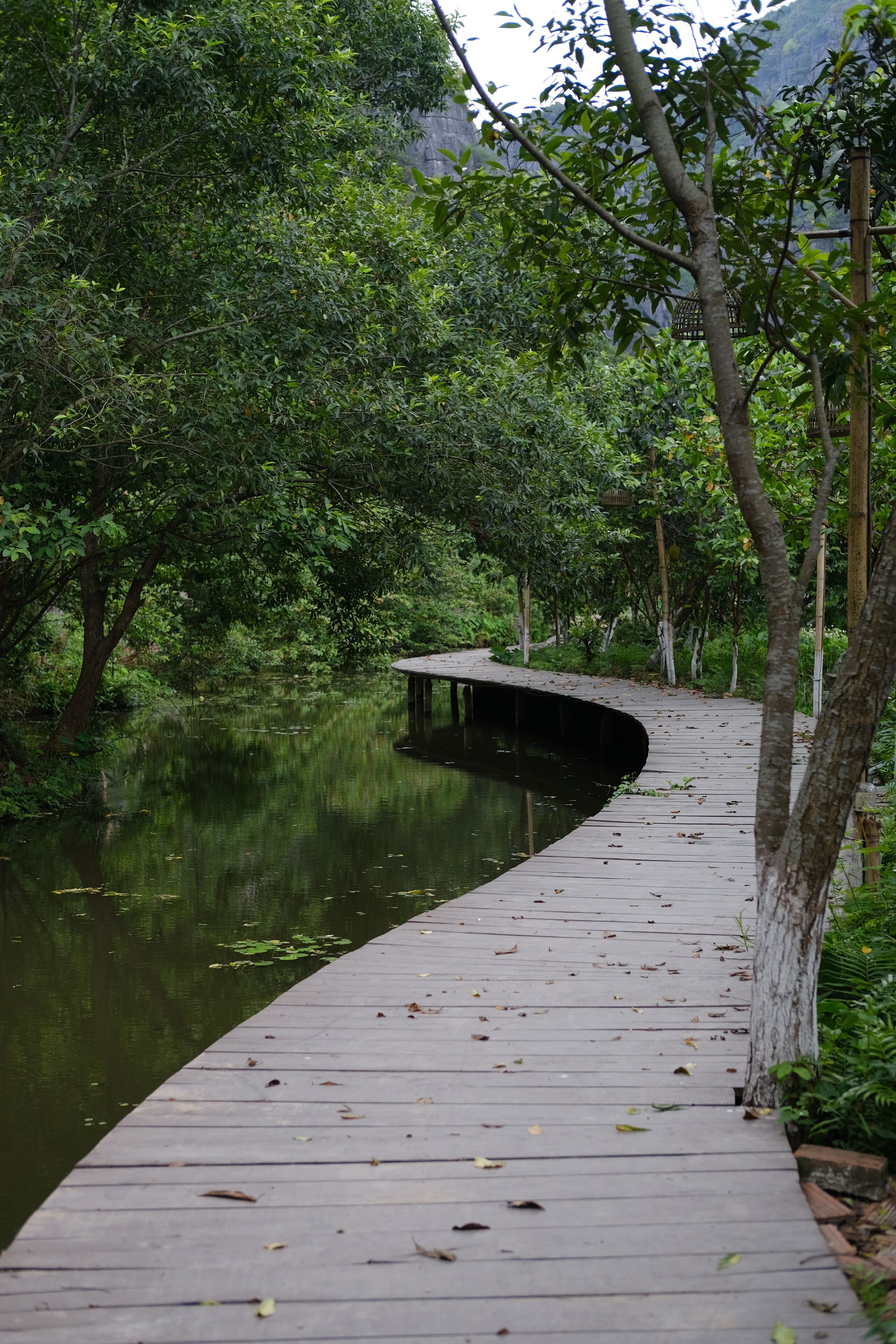 A wooden boardwalk along a calm body of water, surrounded by dense greenery and trees.