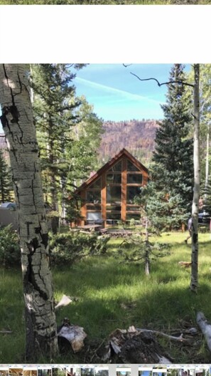 Escape to a serene forest retreat with a cabin-style building featuring a gabled roof and large windows.