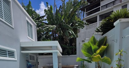 Charming 4-bedroom house with WiFi, AC in delightful Canóvanas.