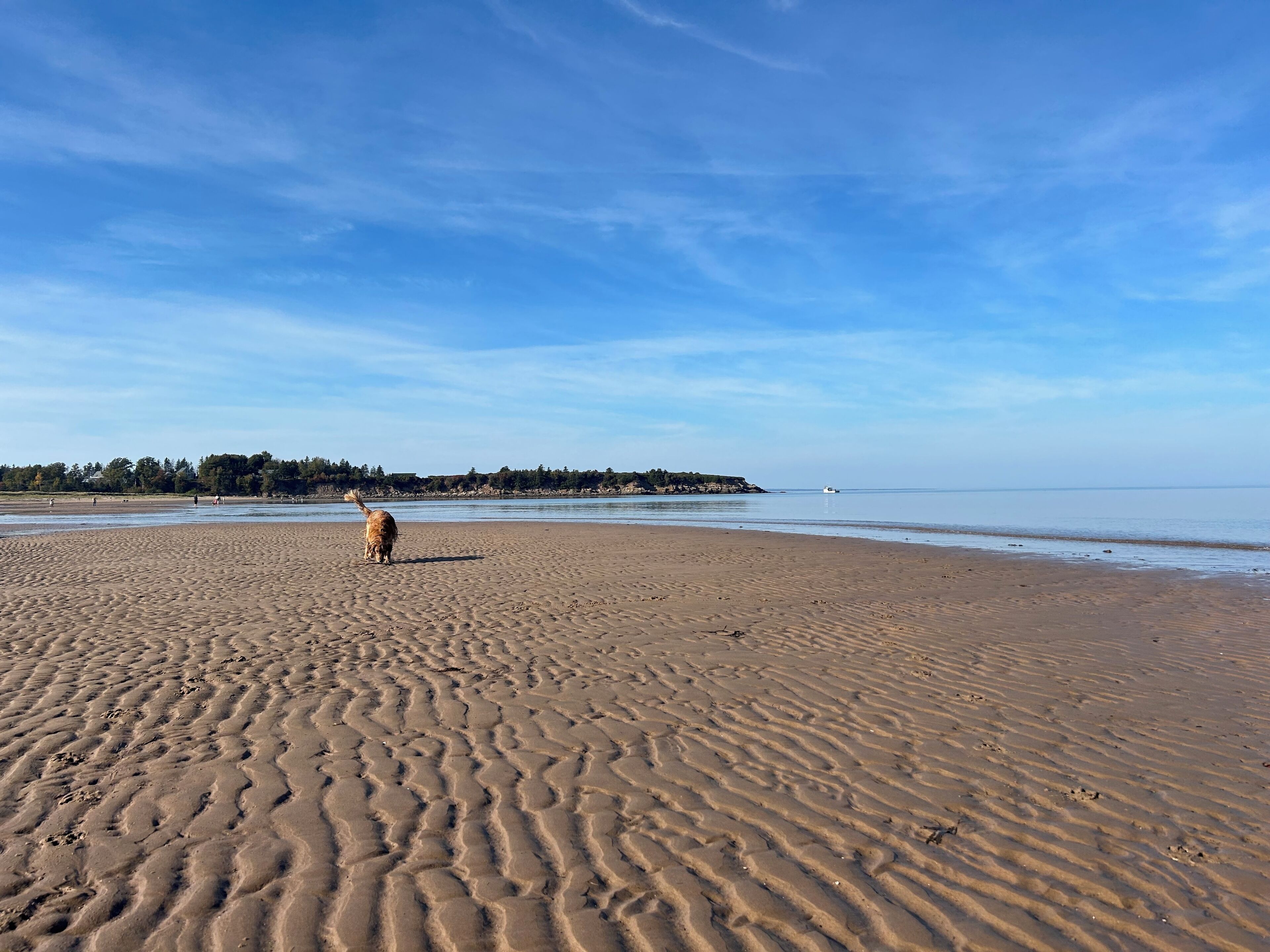 Sun loungers, beach towels
