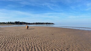 Sun loungers, beach towels