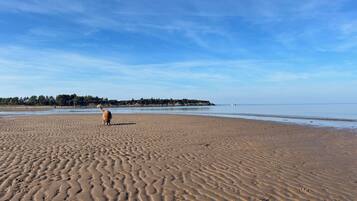 Sun loungers, beach towels