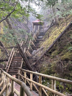 Wishing well stairs in Victoria Park