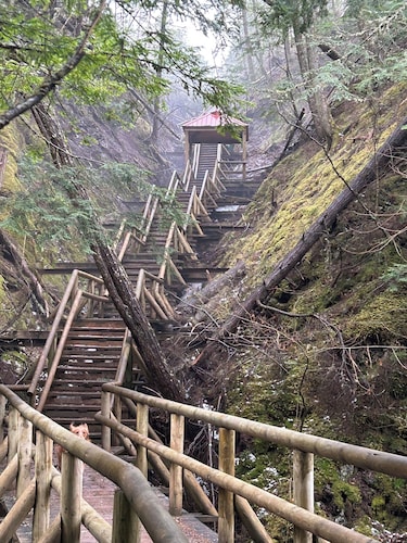 Spacious country oasis. 5-bedroom home on gorgeous grounds with hot tub and pool