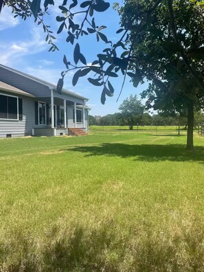 Property grounds - Skyblue Ranch, Peaceful Getaway with Pool!Pets! (Terrell)