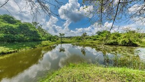 Une rivière paisible, bordée de part et d’autre d’une végétation luxuriante, sous un ciel dégagé.