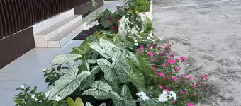 Cosy Fully Furnished Unit Great Spot Labasa