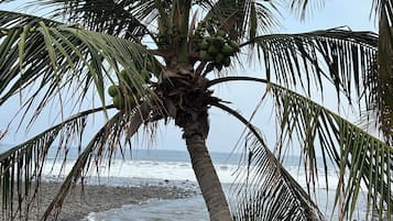 Accommodatie ligt op het strand
