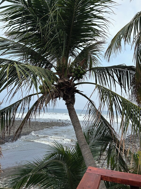 On the beach - Punta Chilama Surf House (Playa Conchalio)