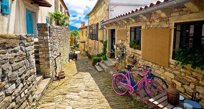 Stone Villa Galant with Pool, Brgudac, Croatia