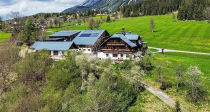 Beautiful apartment in villa for 3 guests with WIFI, TV, balcony and pets allowed