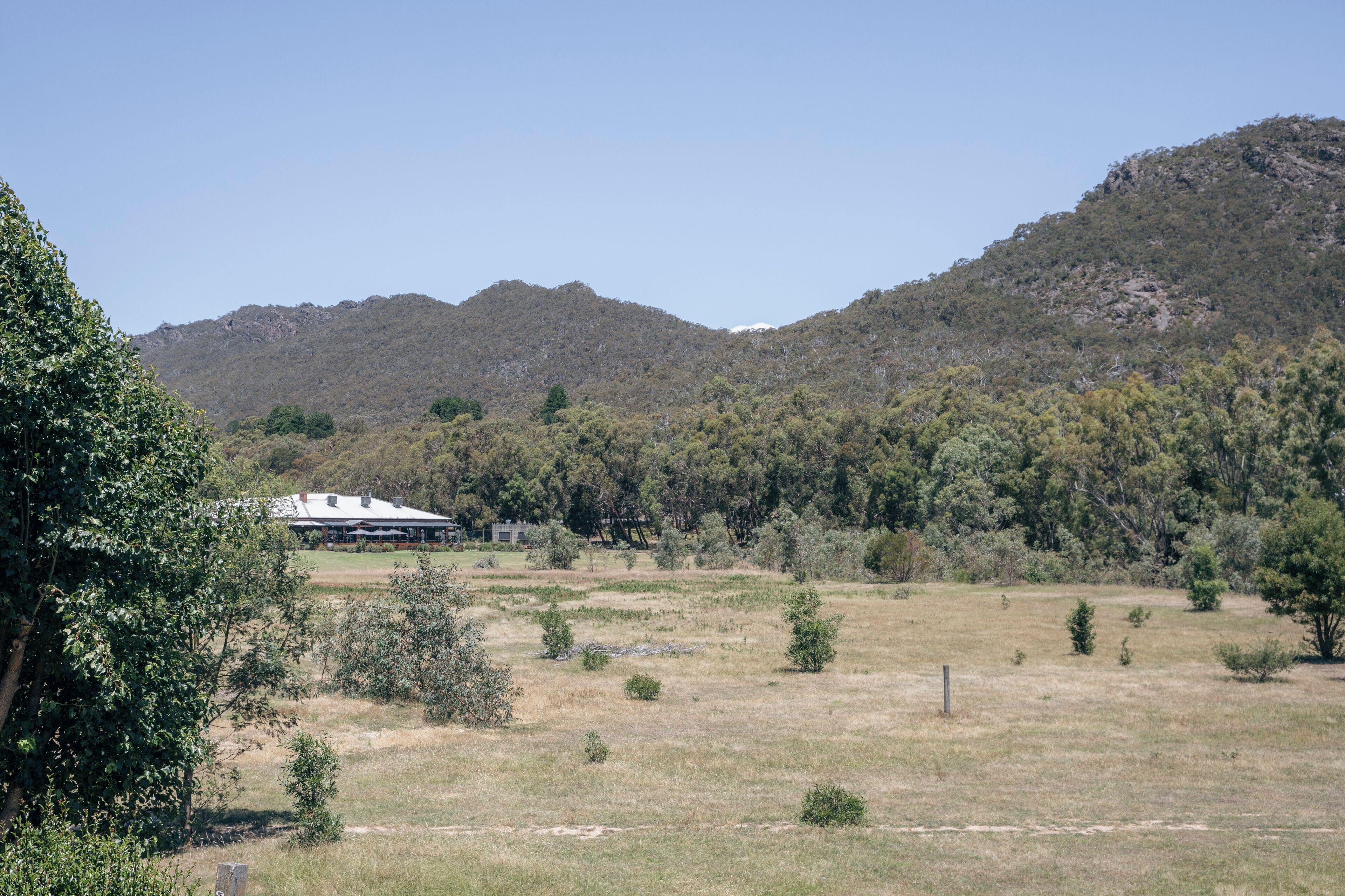 A rural landscape with a house surrounded by trees and hills.