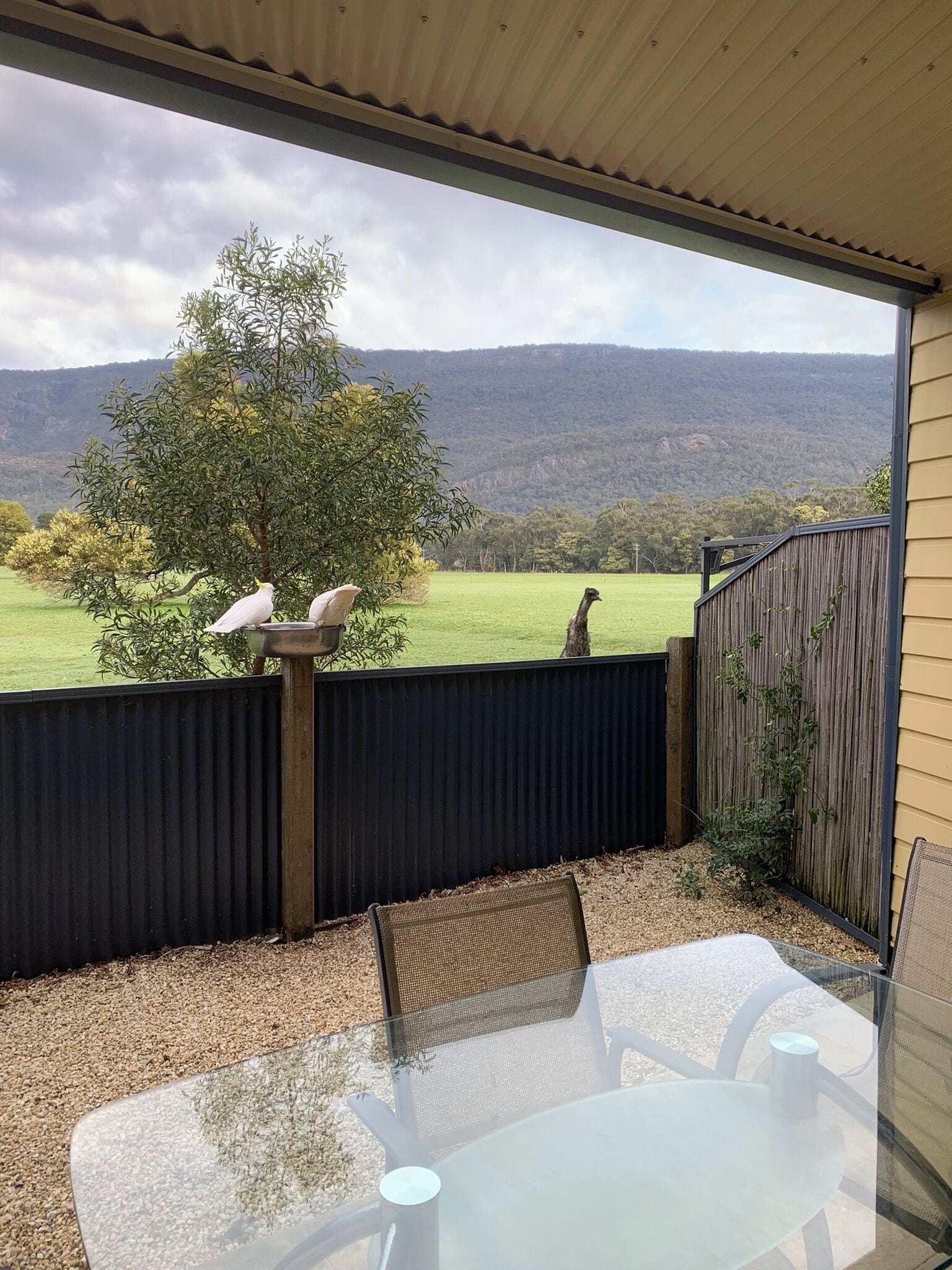 Townhome Deluxe - 3 sovrum - utsikt mot bergen | Terrass/Patio