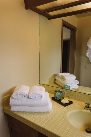 Hair dryer, towels, soap, shampoo