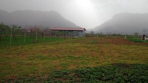庭園