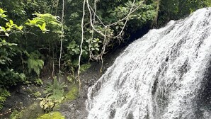 A waterfall with clear water flowing over rocks, surrounded by lush greenery. - Cosy Farmstay Tuvurara Savusavu (Nakasa)