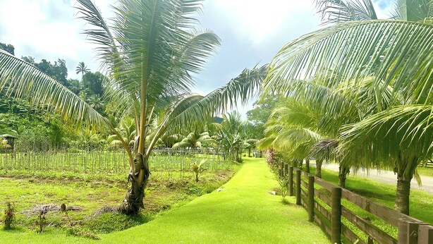 Property grounds - Cosy Farmstay Tuvurara Savusavu (Nakasa)