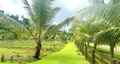 Cosy Farmstay Tuvurara Savusavu