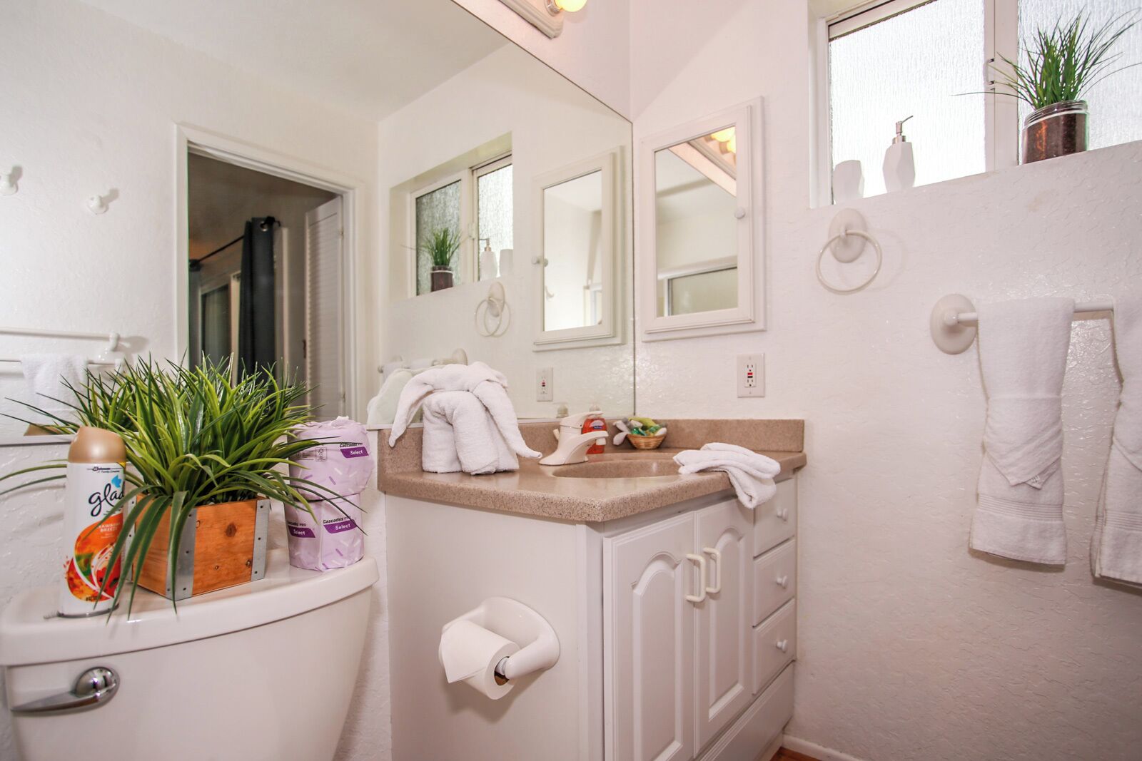 A bathroom with a toilet, sink, mirror, towel rack, and a potted plant.