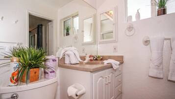A bathroom with a toilet, sink, mirror, towel rack, and a potted plant.