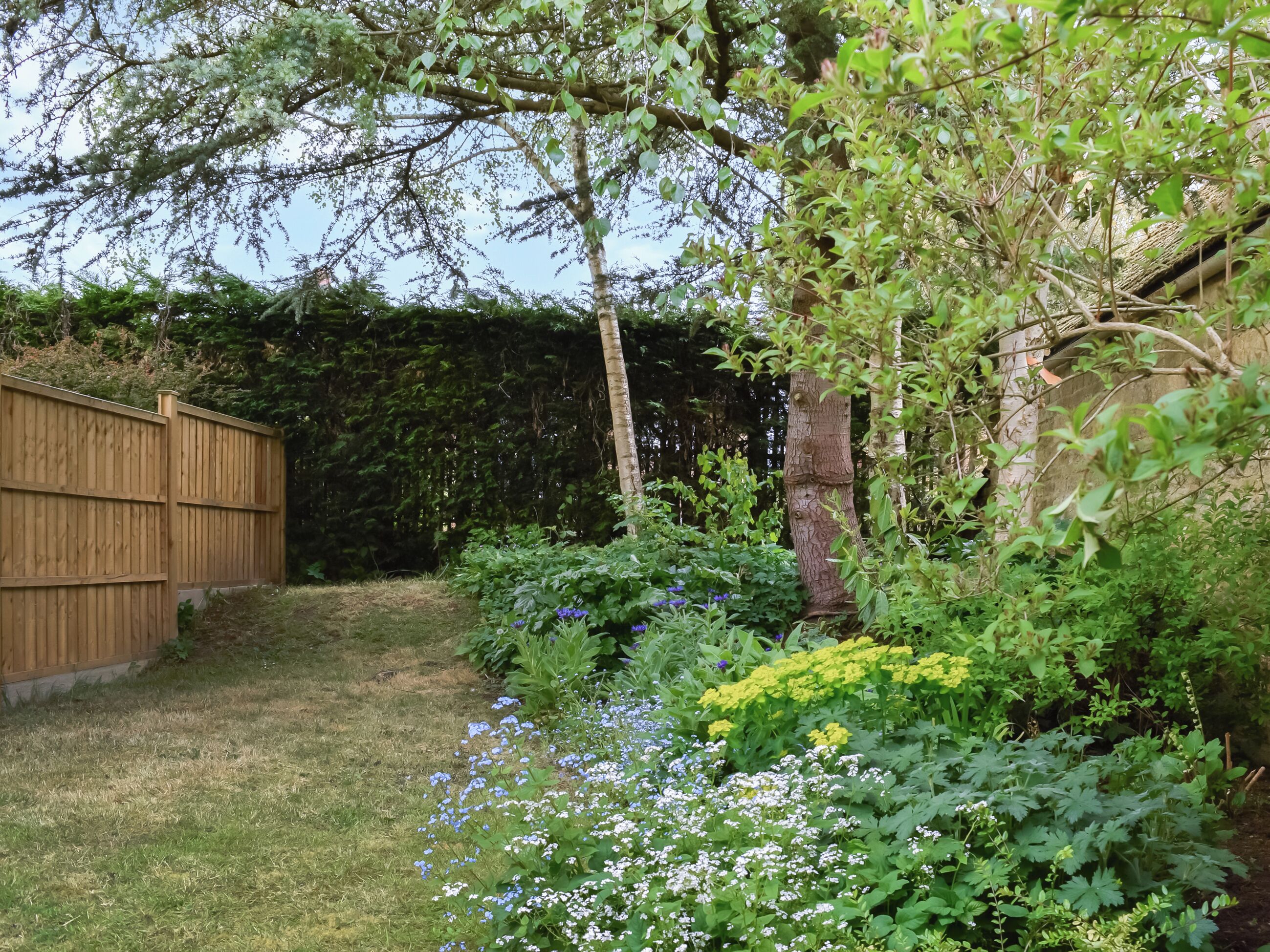 Un giardino con una recinzione di legno, diverse piante e un albero.