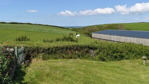 Paisagem rural com um celeiro, um campo cercado e um cavalo branco pastando.