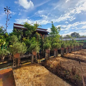 Dormitório compartilhado básico, varanda coberta, vista para a cidade | Wi-Fi de cortesia