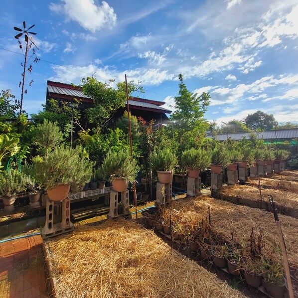 Basic Shared Dormitory, Lanai, City View | Wi-fi percuma