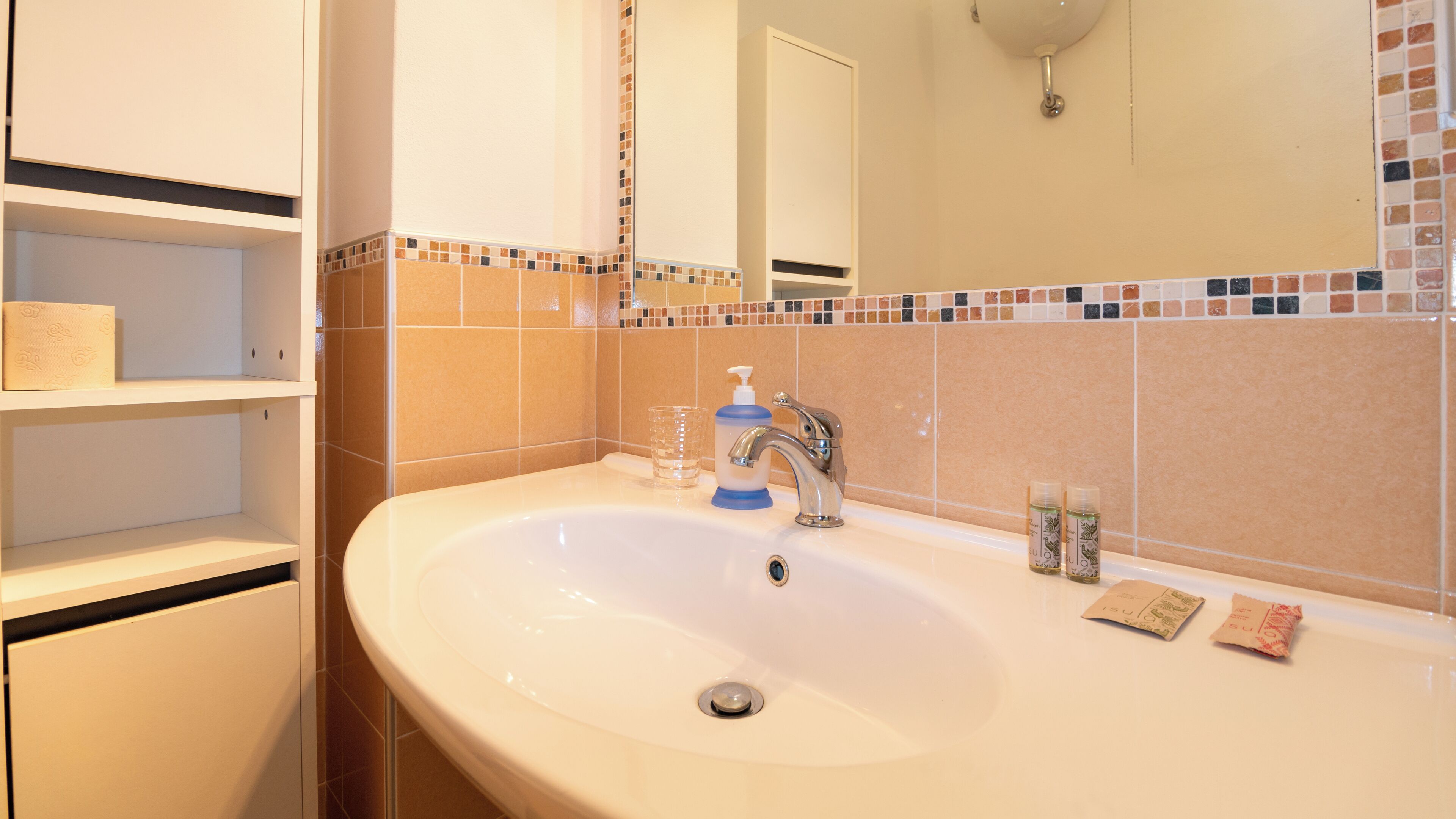 A bathroom with a white sink, a mirror, and a shelf with toiletries.