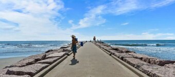 New Mansvelt — Poolside Paradise