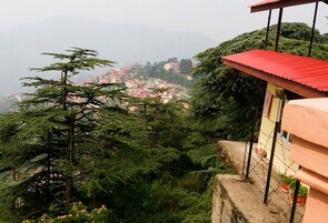 华丽双人房, 多张床 | 露台