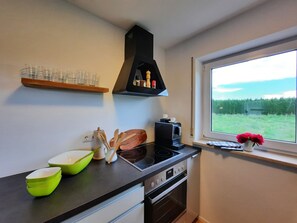 Fridge, oven, stovetop, dishwasher