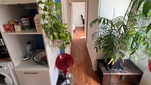 En smal gang med en vaskemaskine, en rød stol og en potteplante.