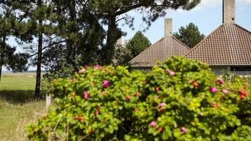 Quang cảnh nhìn từ nơi lưu trú