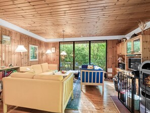 TV, fireplace, DVD player