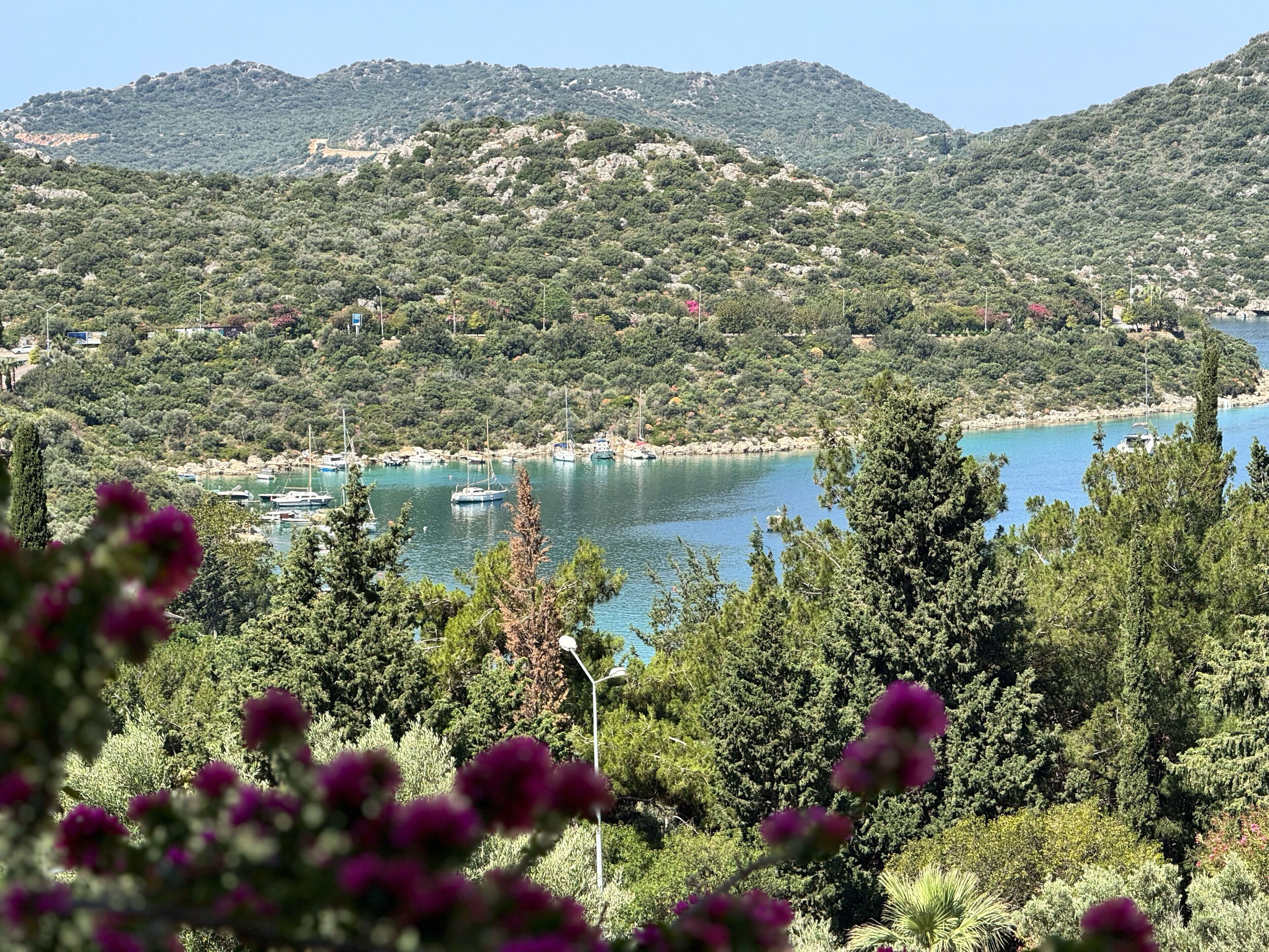 A coastal landscape with a marina, boats, and lush greenery.