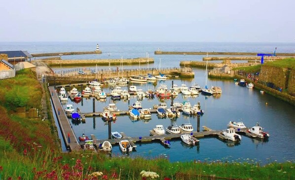 Marina