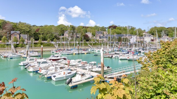 A marina with numerous boats docked, surrounded by houses and greenery.