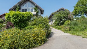 Un camino rural que conduce a una hilera de casas tradicionales con ventanas amplias y un techo inclinado.