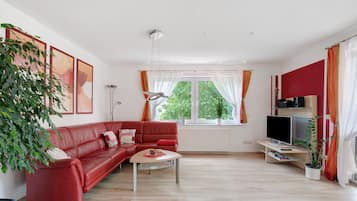 Fernseher, Stereoanlage